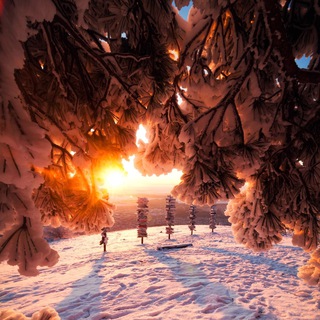 Логотип Телеграм канала ЮЖНЫЕ СНЫ. Бесплатная аналитика Telegram каналов