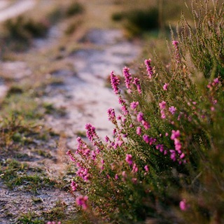 Логотип Телеграм канала . Бесплатная аналитика Telegram каналов