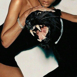 Логотип Телеграм канала bagheera’s jungle. Бесплатная аналитика Telegram каналов