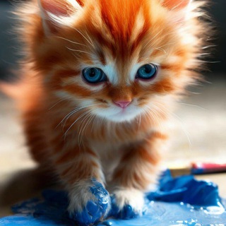 Логотип Телеграм канала . Бесплатная аналитика Telegram каналов