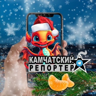 Telegram Channel logo kamreporter. Free Telegram Channel Analytics