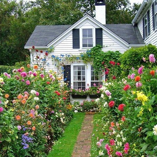 Telegram Channel logo uyutnaya_dacha_og. Free Telegram Channel Analytics