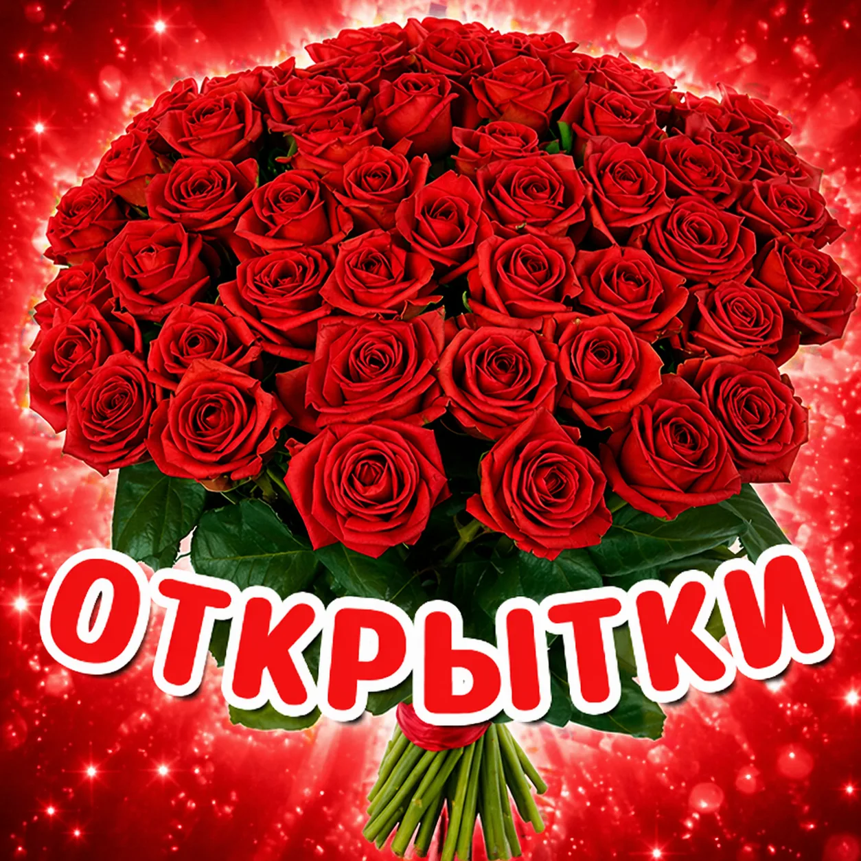 Telegram Channel logo kristushkina12. Free Telegram Channel Analytics