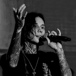 Логотип Телеграм канала . Бесплатная аналитика Telegram каналов