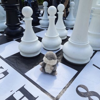 Логотип Телеграм канала . Бесплатная аналитика Telegram каналов