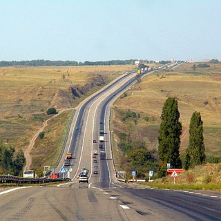 Логотип Телеграм канала . Бесплатная аналитика Telegram каналов