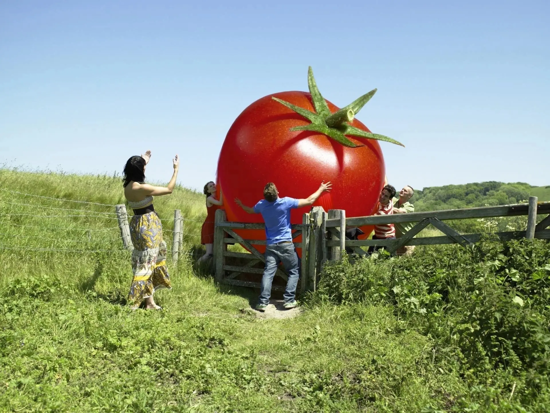 Telegram Channel logo klassnayadacha. Free Telegram Channel Analytics