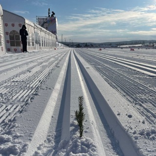 Telegram Channel logo ski_7startov. Free Telegram Channel Analytics