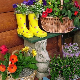 Telegram Channel logo lubimaya_dacha. Free Telegram Channel Analytics