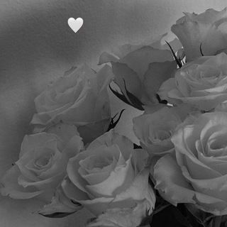 Логотип Телеграм канала Happy people...🕊️. Бесплатная аналитика Telegram каналов