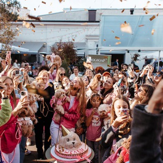 Логотип Телеграм канала MALTIPOO RUSSIA / WORLD. Бесплатная аналитика Telegram каналов