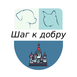 Логотип Телеграм канала . Бесплатная аналитика Telegram каналов