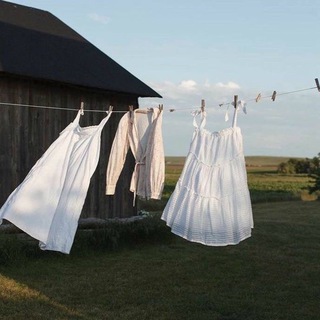 Логотип Телеграм канала . Бесплатная аналитика Telegram каналов