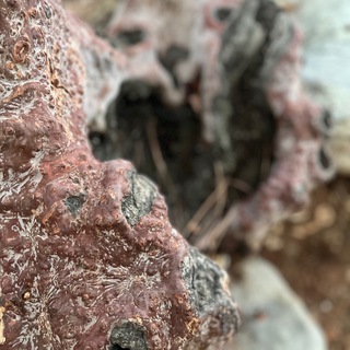 Логотип Телеграм канала . Бесплатная аналитика Telegram каналов