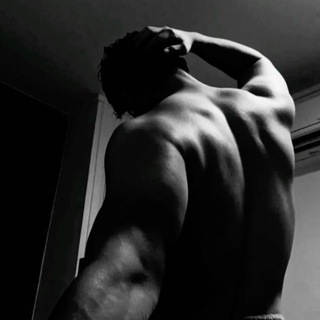 Логотип Телеграм канала . Бесплатная аналитика Telegram каналов