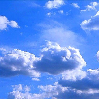 Telegram Channel logo Work_Spbb. Free Telegram Channel Analytics