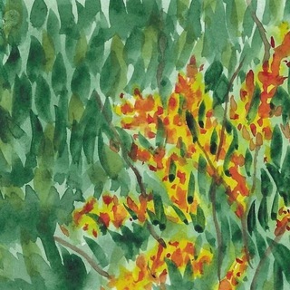 Логотип Телеграм канала . Бесплатная аналитика Telegram каналов