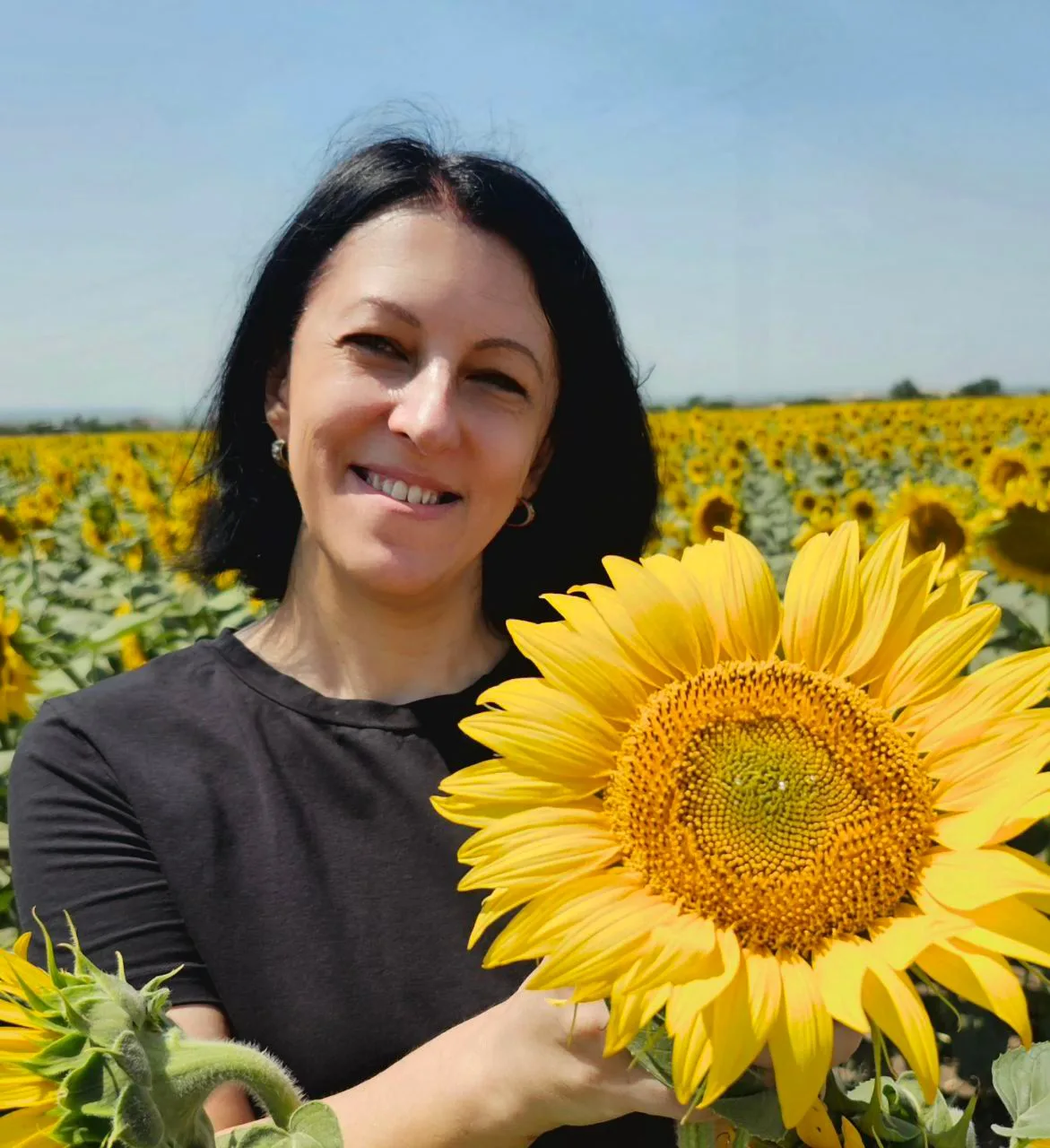 Логотип Телеграм канала tarelkaru. Бесплатная аналитика Telegram каналов