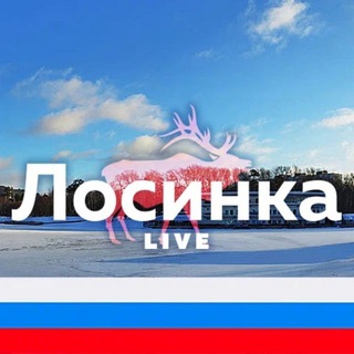 Telegram Channel logo losink. Free Telegram Channel Analytics