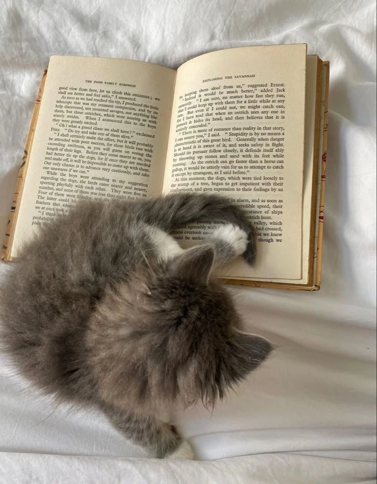 Telegram Channel logo -u7vlguejywn8o_bfzk9sehmr79ykb_xekglam97eki. Free Telegram Channel Analytics