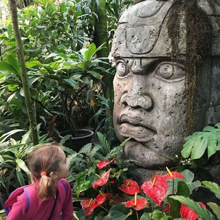 Логотип Телеграм канала Аптекарский огород МГУ. Бесплатная аналитика Telegram каналов