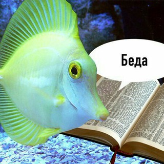 Логотип Телеграм канала Заголовки. Бесплатная аналитика Telegram каналов