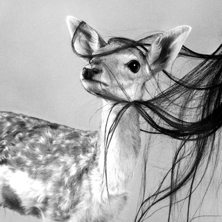 Telegram Channel logo . Free Telegram Channel Analytics