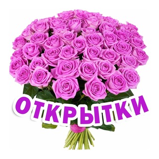 Telegram Channel logo +XtYf7HhaM603ZjJi. Free Telegram Channel Analytics