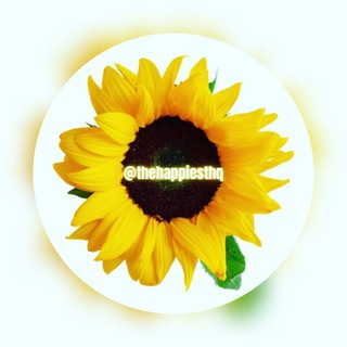 Telegram Channel logo TheHappiestHQ. Free Telegram Channel Analytics
