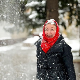 Логотип Телеграм канала . Бесплатная аналитика Telegram каналов