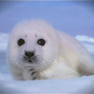 Логотип Телеграм канала good_neighbor_hood. Бесплатная аналитика Telegram каналов