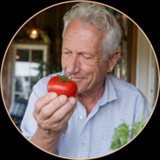 Telegram Channel logo dachadedaegora. Free Telegram Channel Analytics