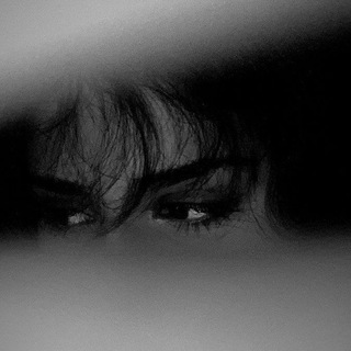 Telegram Channel logo . Free Telegram Channel Analytics