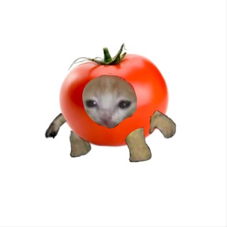 Логотип Телеграм канала . Бесплатная аналитика Telegram каналов