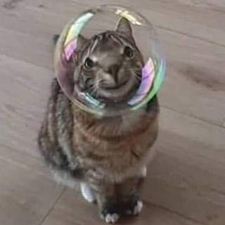 Логотип Телеграм канала strangerthingstg. Бесплатная аналитика Telegram каналов