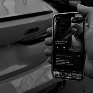 Логотип Телеграм канала . Бесплатная аналитика Telegram каналов