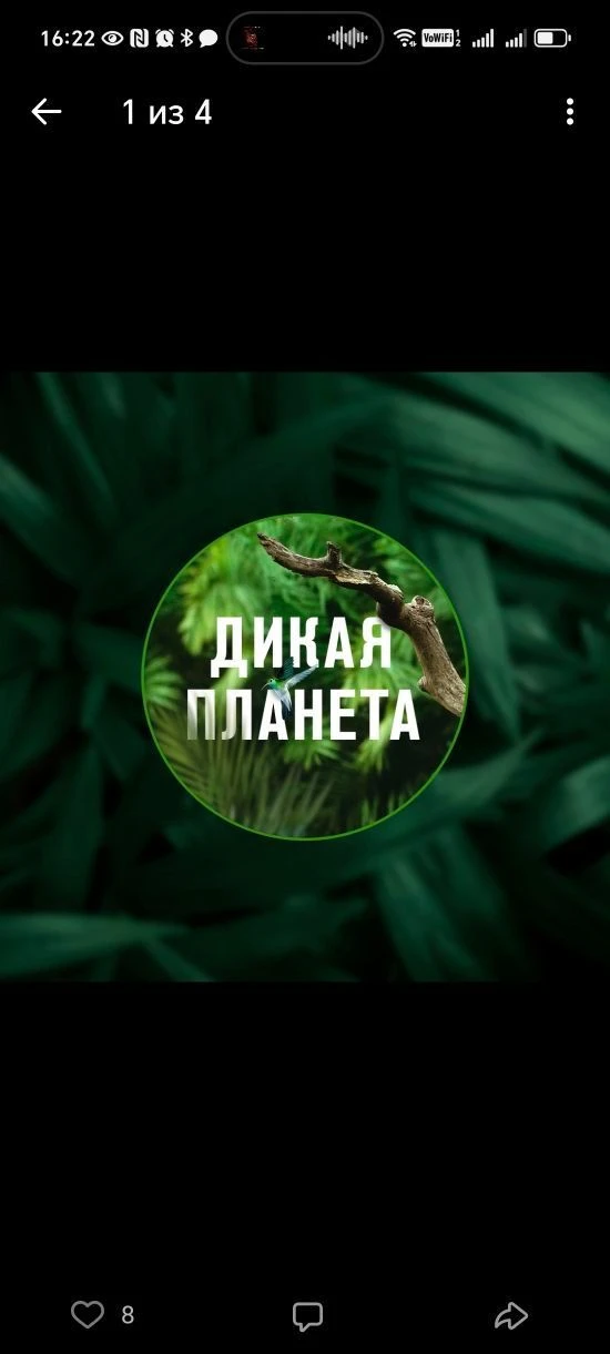 Telegram Channel logo pmsac6i6z9deam0grmv9kmxljyy7dpj9nsk1z8uzj2g. Free Telegram Channel Analytics