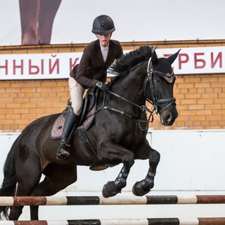 Логотип Телеграм канала . Бесплатная аналитика Telegram каналов