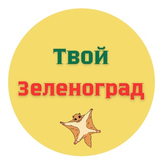 Telegram Channel logo zelenograd_yours. Free Telegram Channel Analytics