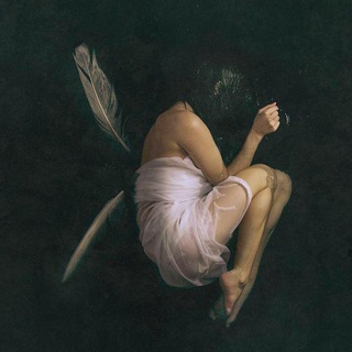 Telegram Channel logo Notti Bianche. Free Telegram Channel Analytics