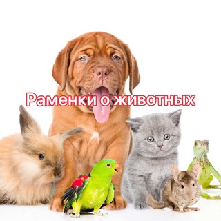 Логотип Телеграм канала ramenkidog. Бесплатная аналитика Telegram каналов
