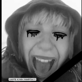 Логотип Телеграм канала . Бесплатная аналитика Telegram каналов