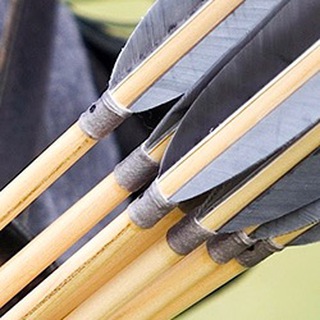 Логотип Телеграм канала Сойкапересмешница. Бесплатная аналитика Telegram каналов