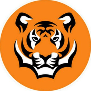 Логотип Телеграм канала ЖЕСТЬ_VL_25 Владивосток - Приморский край. Бесплатная аналитика Telegram каналов