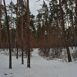 Telegram Channel logo quote.ua. Free Telegram Channel Analytics