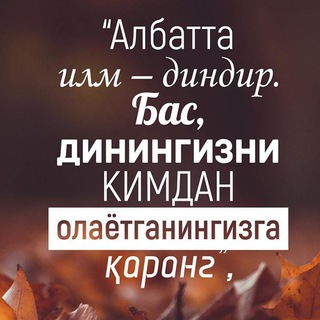 Логотип Телеграм канала . Бесплатная аналитика Telegram каналов