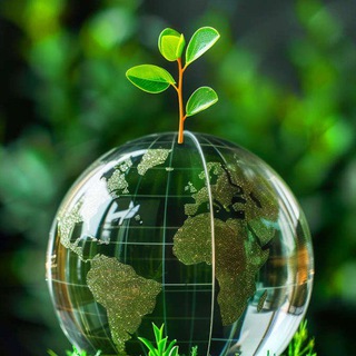 Логотип Телеграм канала kurazinformation. Бесплатная аналитика Telegram каналов