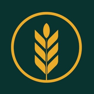 Логотип Телеграм канала zerno_ros. Бесплатная аналитика Telegram каналов