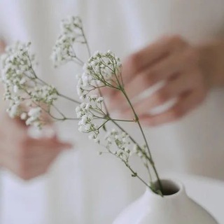 Логотип Телеграм канала Видео для Сторис. Бесплатная аналитика Telegram каналов