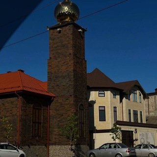 Логотип Телеграм канала . Бесплатная аналитика Telegram каналов